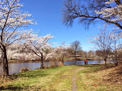 Photo by <br />
<b>Notice</b>:  Undefined index: user in <b>/home/www/activeuser/data/www/vaplace.com/core/views/default/photos.php</b> on line <b>128</b><br />
. Picture for Branch Brook Park in Newark City, New Jersey, United States - Point of interest, Establishment, Park