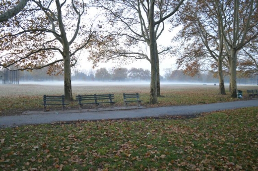 Canarsie Park in Brooklyn City, New York, United States - #2 Photo of Point of interest, Establishment, Park