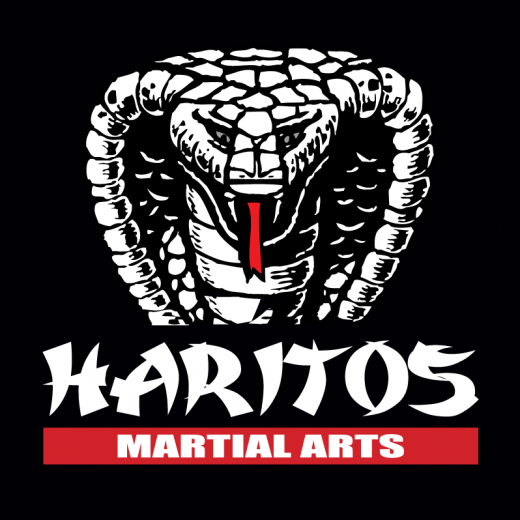 Photo by <br />
<b>Notice</b>:  Undefined index: user in <b>/home/www/activeuser/data/www/vaplace.com/core/views/default/photos.php</b> on line <b>128</b><br />
. Picture for Haritos Martial Arts in Cliffside Park City, New Jersey, United States - Point of interest, Establishment, Health, Gym