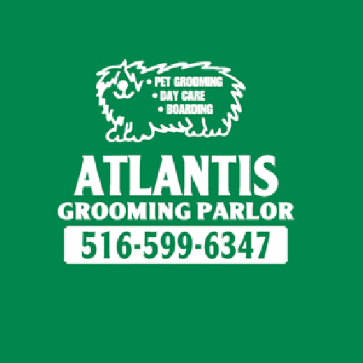 Photo by <br />
<b>Notice</b>:  Undefined index: user in <b>/home/www/activeuser/data/www/vaplace.com/core/views/default/photos.php</b> on line <b>128</b><br />
. Picture for Atlantis Grooming Parlor in East Rockaway City, New York, United States - Point of interest, Establishment, Store, Pet store