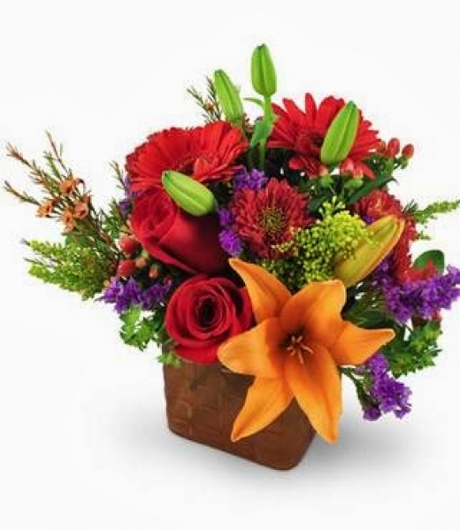 Photo by <br />
<b>Notice</b>:  Undefined index: user in <b>/home/www/activeuser/data/www/vaplace.com/core/views/default/photos.php</b> on line <b>128</b><br />
. Picture for Broderick Florist in Bergenfield City, New Jersey, United States - Point of interest, Establishment, Store, Florist