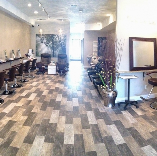 Photo by <br />
<b>Notice</b>:  Undefined index: user in <b>/home/www/activeuser/data/www/vaplace.com/core/views/default/photos.php</b> on line <b>128</b><br />
. Picture for Julio Angel Hair Studio in Verona City, New Jersey, United States - Point of interest, Establishment, Beauty salon