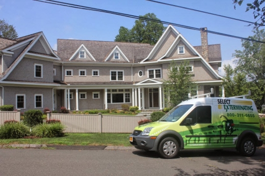 Photo by New Rochelle Select Exterminating for New Rochelle Select Exterminating