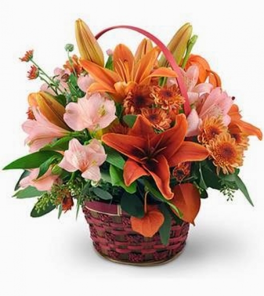 Photo by <br />
<b>Notice</b>:  Undefined index: user in <b>/home/www/activeuser/data/www/vaplace.com/core/views/default/photos.php</b> on line <b>128</b><br />
. Picture for Bed of Roses Florist in Yonkers City, New York, United States - Point of interest, Establishment, Store, Florist