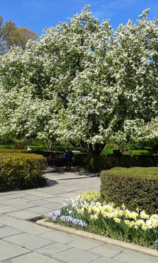 Conservatory Garden in New York City, New York, United States - #4 Photo of Point of interest, Establishment, Park