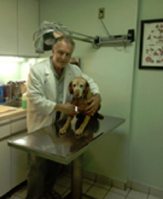 Photo by <br />
<b>Notice</b>:  Undefined index: user in <b>/home/www/activeuser/data/www/vaplace.com/core/views/default/photos.php</b> on line <b>128</b><br />
. Picture for Throgs Neck Animal Hospital in Bronx City, New York, United States - Point of interest, Establishment, Health, Veterinary care