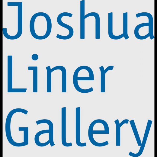 Joshua Liner Gallery in New York City, New York, United States - #1 Photo of Point of interest, Establishment, Art gallery