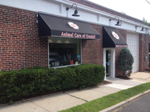 Photo by Animal Care of Oradell for Animal Care of Oradell