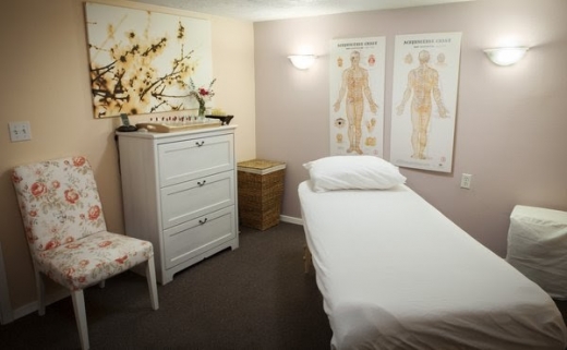Spirit Acupuncture in Springfield Township City, New Jersey, United States - #4 Photo of Point of interest, Establishment, Health