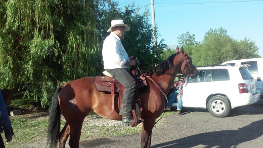 The Federation of Black Cowboys in Howard Beach City, New York, United States - #2 Photo of Point of interest, Establishment