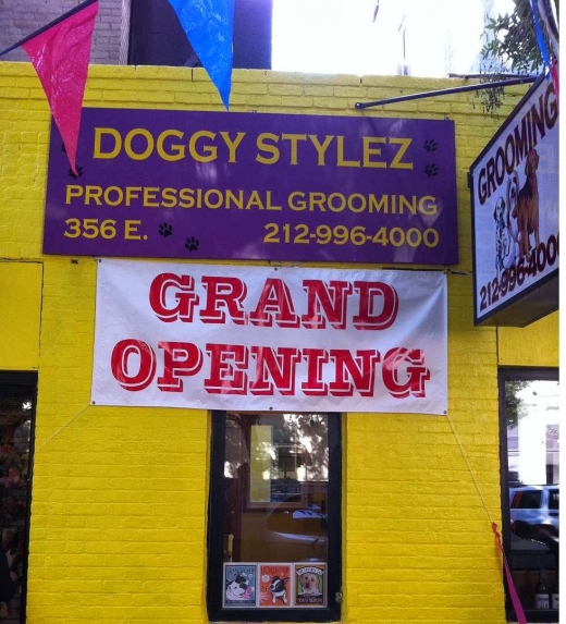 Doggy Stylez Grooming in New York City, New York, United States - #1 Photo of Point of interest, Establishment, Store
