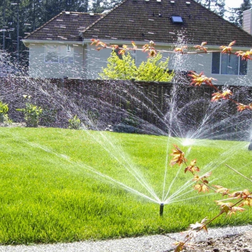 INNOVATIVE IRRIGATION in Larchmont City, New York, United States - #1 Photo of Food, Point of interest, Establishment, General contractor