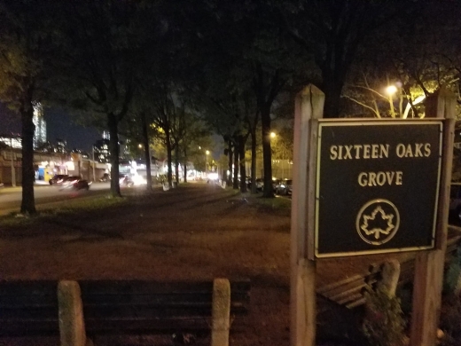 Sixteen Oaks Grove in New York City, New York, United States - #1 Photo of Point of interest, Establishment, Park