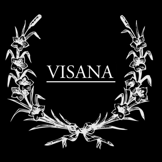 Photo by <br />
<b>Notice</b>:  Undefined index: user in <b>/home/www/activeuser/data/www/vaplace.com/core/views/default/photos.php</b> on line <b>128</b><br />
. Picture for Visana in New York City, New York, United States - Point of interest, Establishment, Bar, Night club