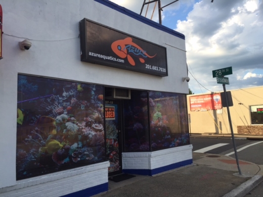Azure Aquatics LLC in Fair Lawn City, New Jersey, United States - #2 Photo of Point of interest, Establishment, Aquarium