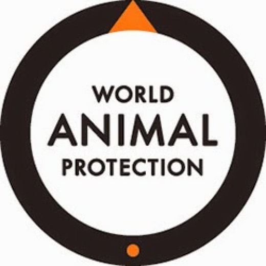 World Animal Protection in New York City, New York, United States - #1 Photo of Point of interest, Establishment