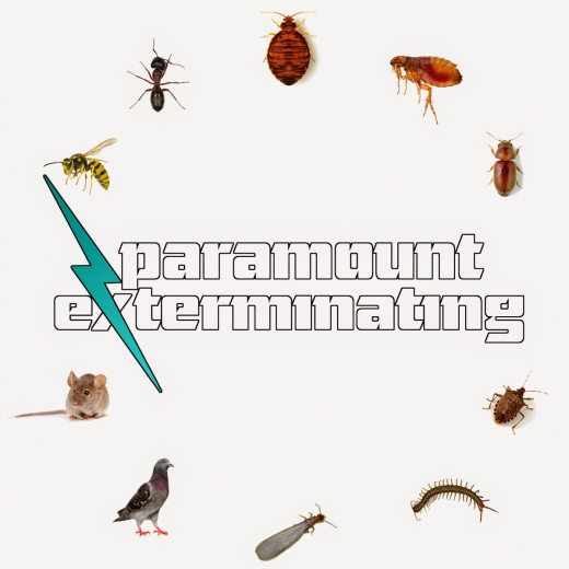 Paramount Exterminating in Union City, New Jersey, United States - #3 Photo of Point of interest, Establishment, Store, Home goods store