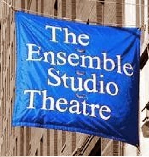 Ensemble Studio Theatre in New York City, New York, United States - #4 Photo of Point of interest, Establishment