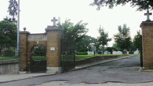 Photo by Walkereight NYC for Most Holy Trinity Cemetery