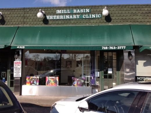 Mill Basin Veterinary Clinic in Kings County City, New York, United States - #1 Photo of Point of interest, Establishment, Veterinary care