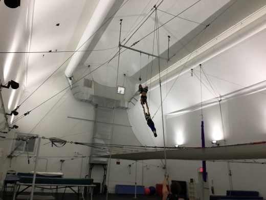 Trapeze School New York (TSNY) - Brooklyn in New York City, New York, United States - #2 Photo of Point of interest, Establishment, School