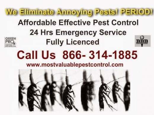 Photo by Most Valuable Pest Control for Most Valuable Pest Control