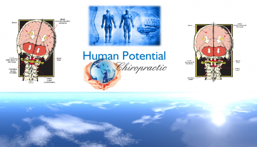 Human Potential Chiropractic in New York City, New York, United States - #3 Photo of Point of interest, Establishment, Health