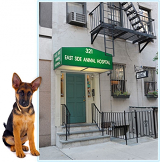 East Side Animal Hospital in New York City, New York, United States - #4 Photo of Point of interest, Establishment, Veterinary care