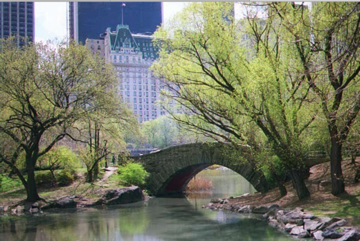 Central Park Carriage Rides in Manhattan City, New York, United States - #3 Photo of Point of interest, Establishment, Travel agency