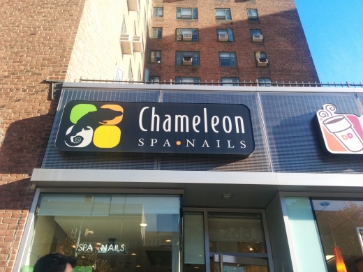 Chameleon Spa Nails Inc in New York City, New York, United States - #1 Photo of Point of interest, Establishment, Beauty salon, Hair care