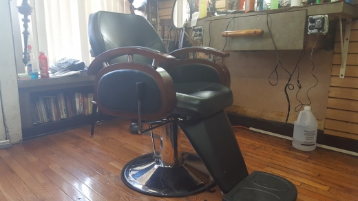 Top Cats in Kings County City, New York, United States - #3 Photo of Point of interest, Establishment, Health, Hair care