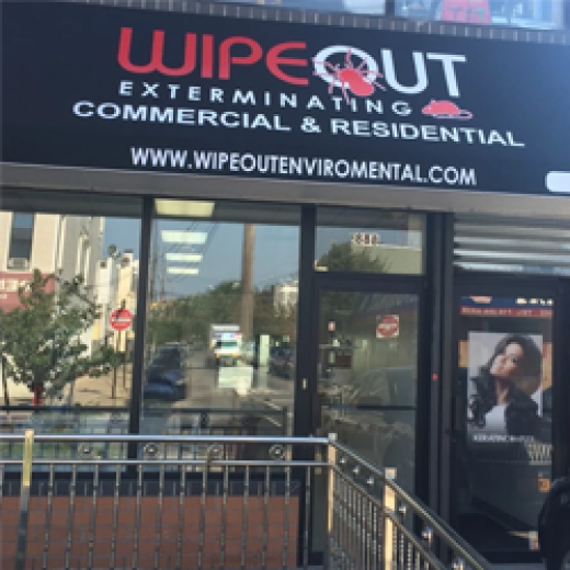 Wipeout Exterminating LLC in Queens City, New York, United States - #1 Photo of Point of interest, Establishment, Store, Home goods store