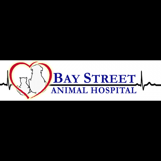 Photo by <br />
<b>Notice</b>:  Undefined index: user in <b>/home/www/activeuser/data/www/vaplace.com/core/views/default/photos.php</b> on line <b>128</b><br />
. Picture for Bay Street Animal Hospital in Staten Island City, New York, United States - Point of interest, Establishment, Store, Health, Pharmacy, Veterinary care