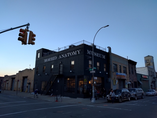 The Morbid Anatomy Museum in Kings County City, New York, United States - #4 Photo of Food, Point of interest, Establishment, Store, Cafe, Library, Museum