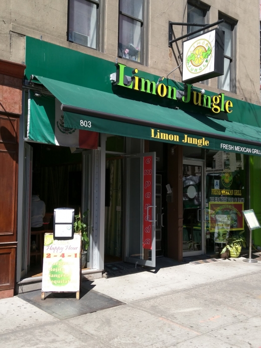 Limon Jungle in New York City, New York, United States - #2 Photo of Restaurant, Food, Point of interest, Establishment, Bar