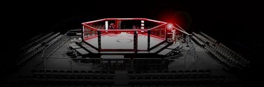 Iglesias MMA in Bronx City, New York, United States - #2 Photo of Point of interest, Establishment