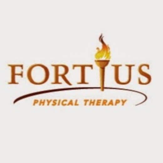 Photo by <br />
<b>Notice</b>:  Undefined index: user in <b>/home/www/activeuser/data/www/vaplace.com/core/views/default/photos.php</b> on line <b>128</b><br />
. Picture for Fortius Physical Therapy in New York City, New York, United States - Point of interest, Establishment, Health, Physiotherapist