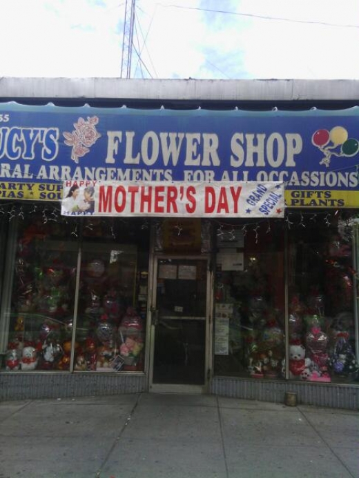 Lucy Flower Shop in Bronx City, New York, United States - #1 Photo of Point of interest, Establishment, Store, Florist