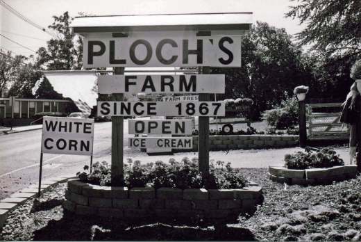 Photo by Charlie Stauhs for Ploch's Farm