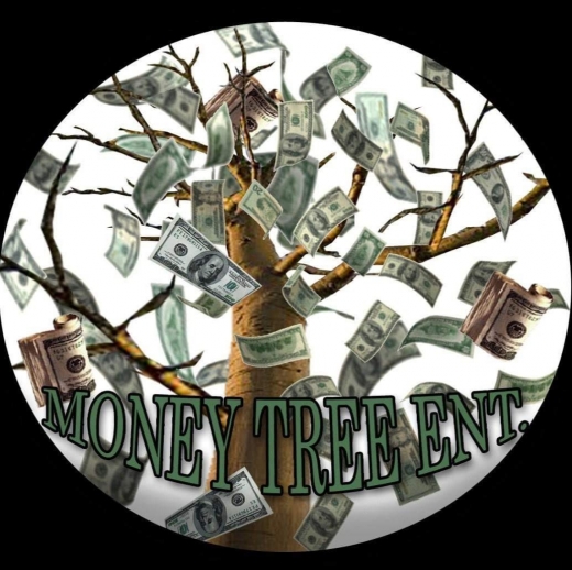 Moneytree Enterprises LLC. in Irvington City, New Jersey, United States - #2 Photo of Point of interest, Establishment