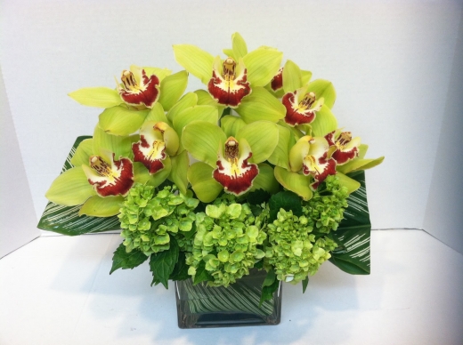 Photo by <br />
<b>Notice</b>:  Undefined index: user in <b>/home/www/activeuser/data/www/vaplace.com/core/views/default/photos.php</b> on line <b>128</b><br />
. Picture for Sunnyside Florist in sunnyside City, New York, United States - Point of interest, Establishment, Store, Florist