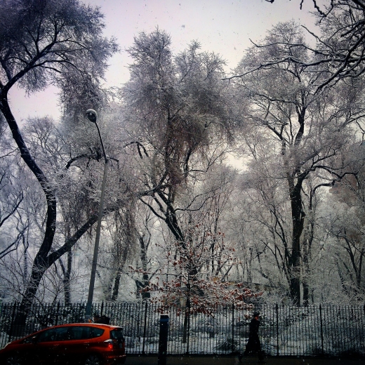 Seward Park in New York City, New York, United States - #2 Photo of Point of interest, Establishment, Park
