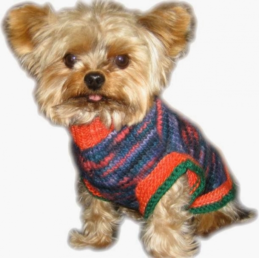 Photo by Wild Doggie Dog Sweaters for Wild Doggie Dog Sweaters