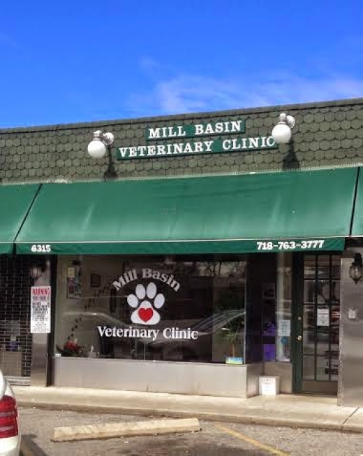 Mill Basin Veterinary Clinic in Kings County City, New York, United States - #2 Photo of Point of interest, Establishment, Veterinary care