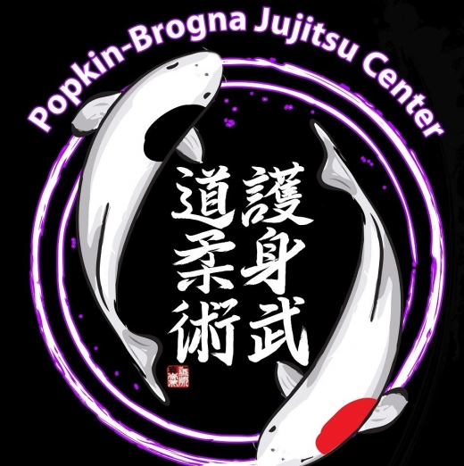 Popkin-Brogna Jujitsu Center in West Hempstead City, New York, United States - #3 Photo of Point of interest, Establishment, Health, Gym