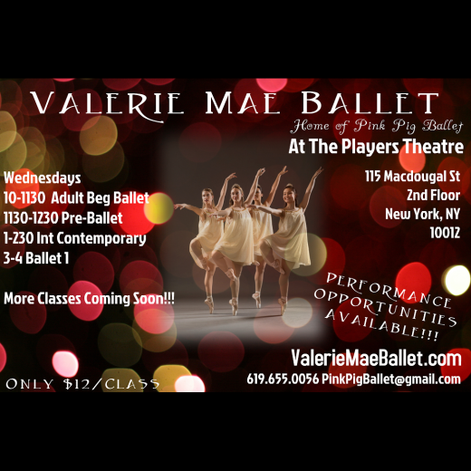 Valerie Mae Ballet in New York City, New York, United States - #3 Photo of Point of interest, Establishment