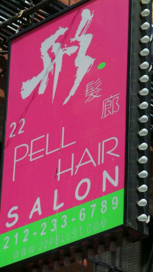 22 Pell Hair Salon Inc in New York City, New York, United States - #2 Photo of Point of interest, Establishment, Beauty salon, Hair care