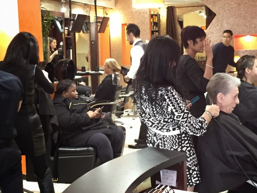 Shear Bliss Salon in New York City, New York, United States - #4 Photo of Point of interest, Establishment, Health, Beauty salon, Hair care