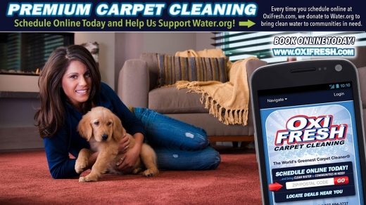 Oxi Fresh of Staten Island Carpet Cleaning in Richmond City, New York, United States - #2 Photo of Point of interest, Establishment, Laundry