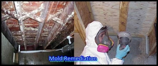 Photo by Advanced Mold Testing for Advanced Mold Testing